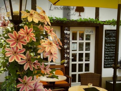 Photo:  Lindenhof